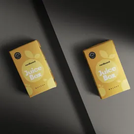 Small Cardboard Juice Box 5